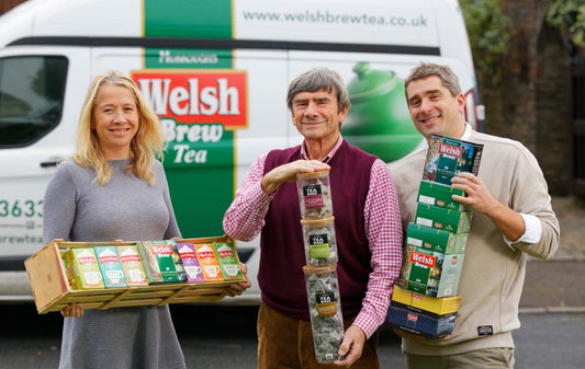 Welsh Brew | 100 Lemon and Ginger Enveloped Tea Bags (with string and tag)